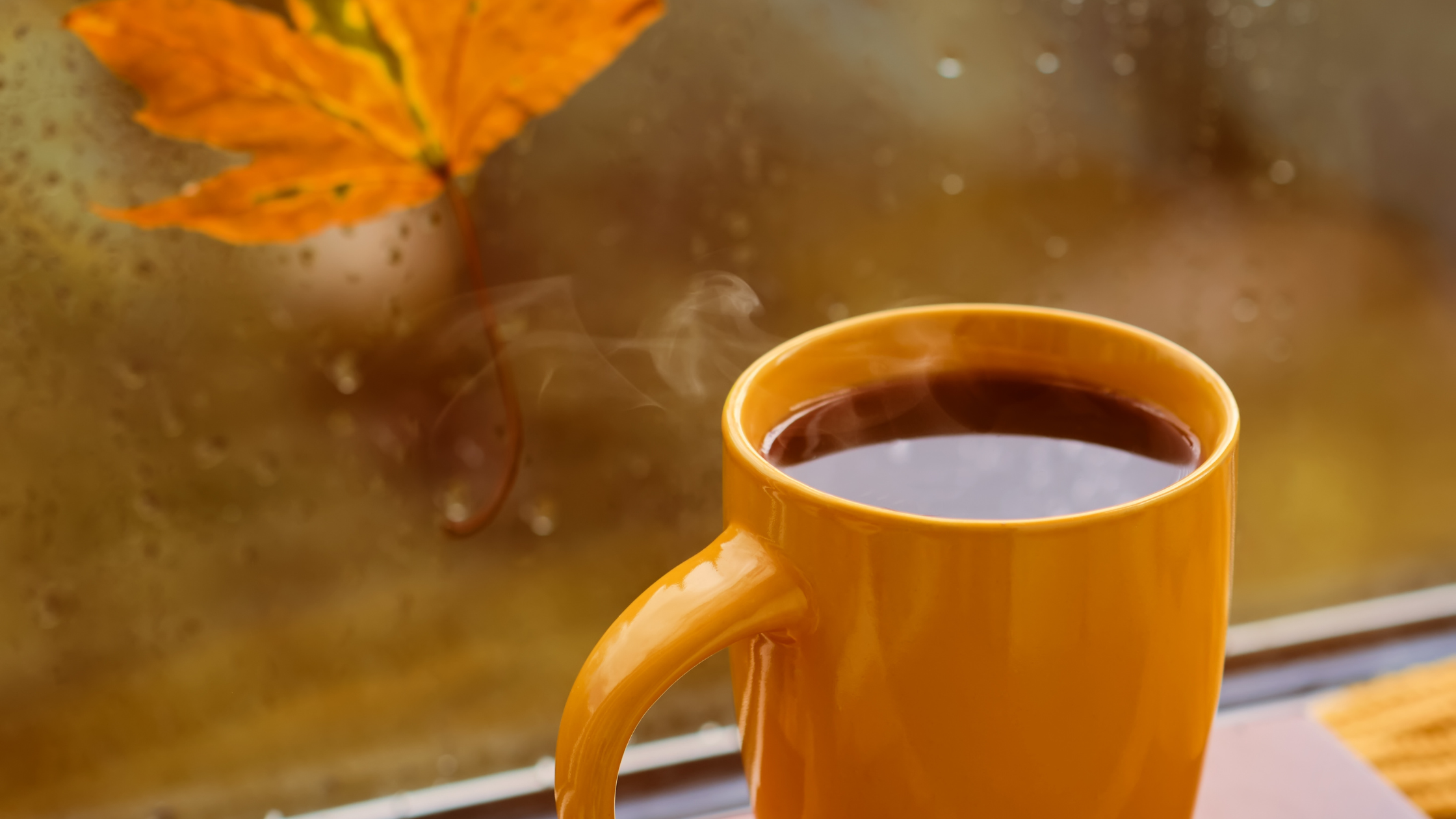 Fall Recipes with Adaptogenic Mushrooms | Upraising