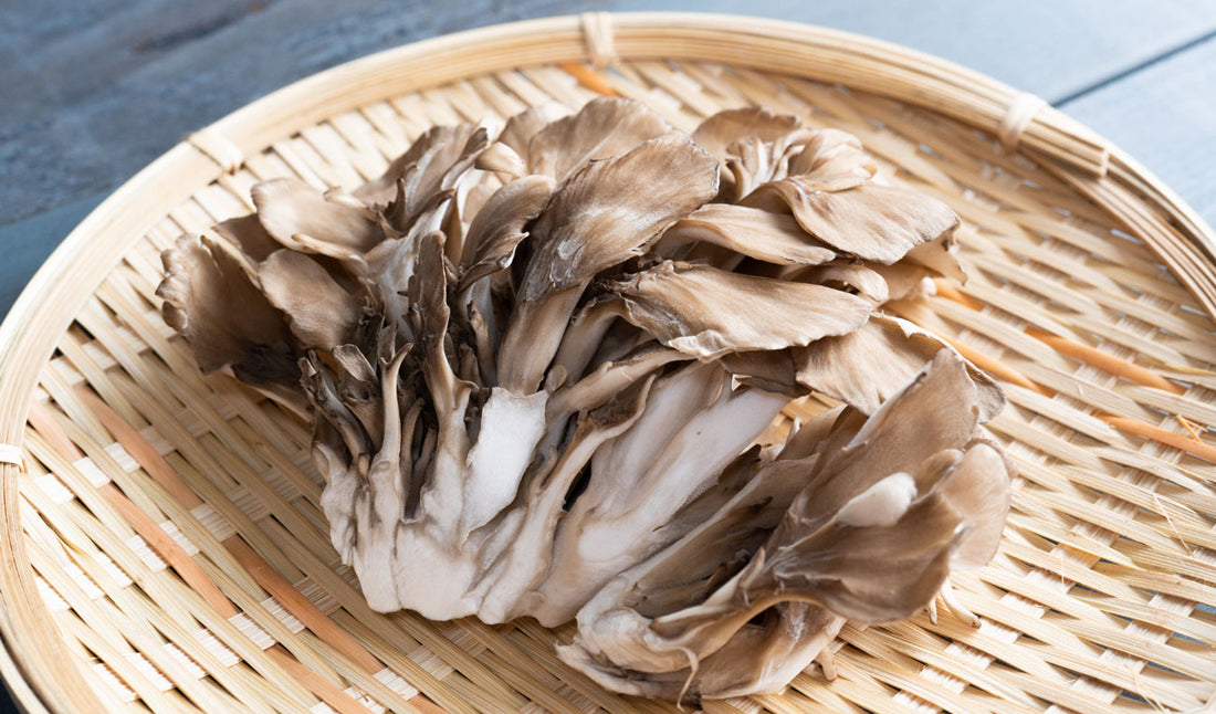 Maitake : 5 benefits of this amazing mushroom