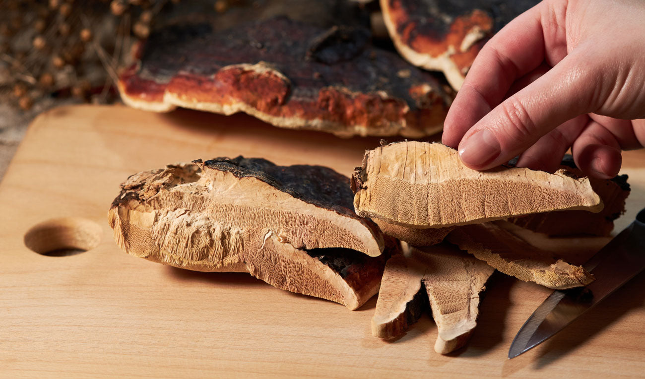 5 health benefits of Reishi mushroom