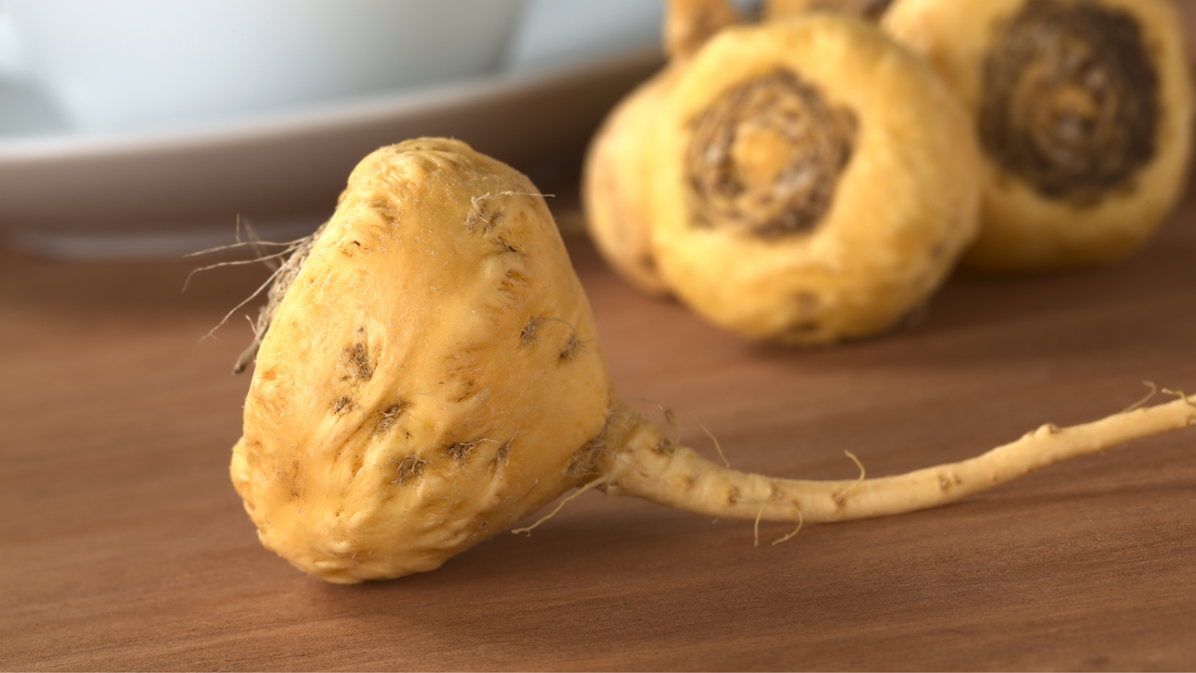 The 10 Main Benefits of Maca: Energy, Mood, and More