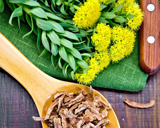 How Rhodiola supplements can improve Physical Performances?