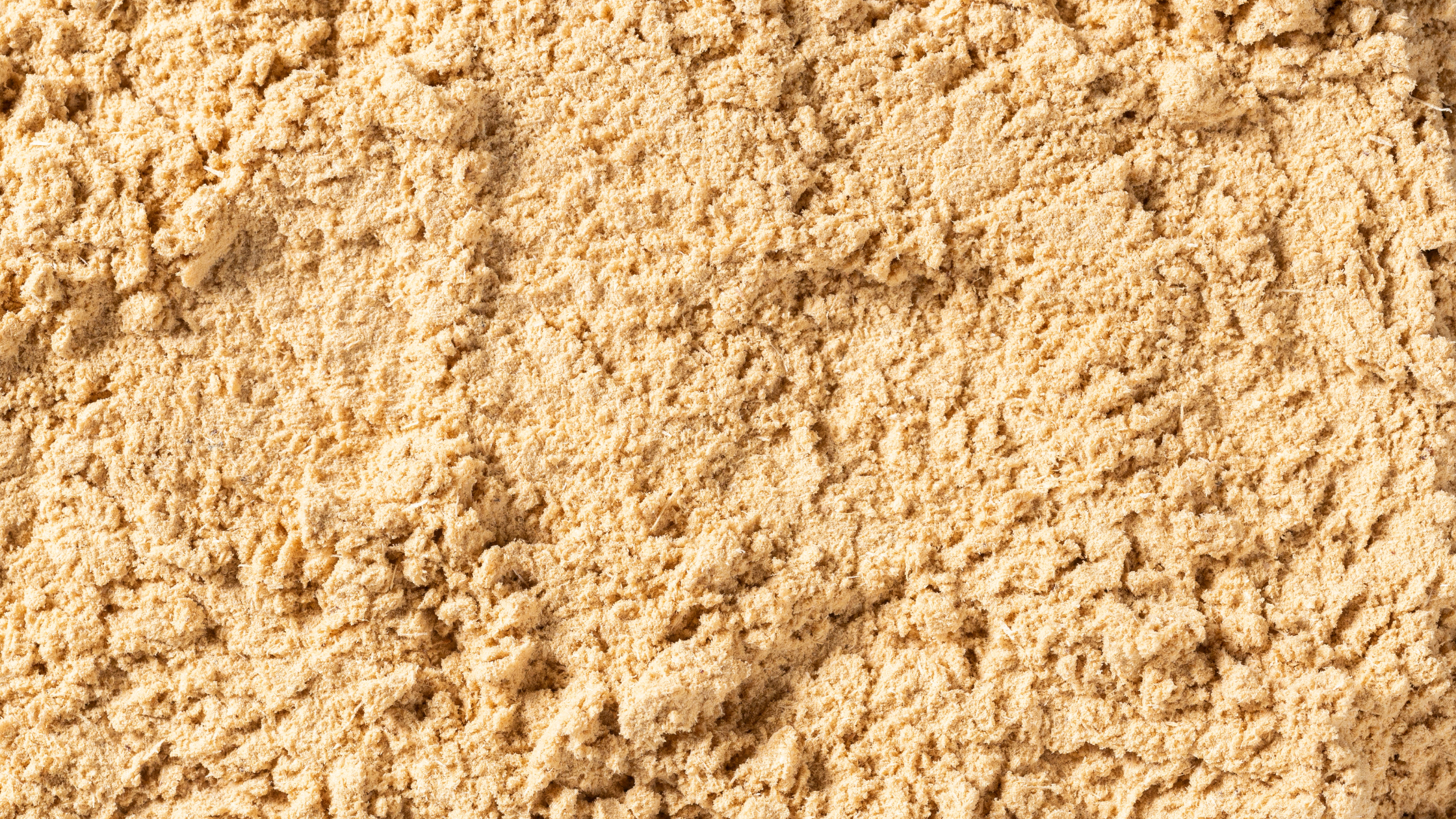 The 10 Main Benefits of Maca: Energy, Mood, and More